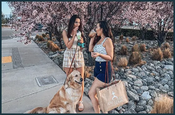 People Shopping with Their Dog, Tejon Ranch Pet Friendly